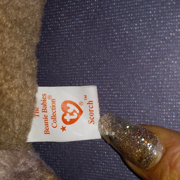 Ty Scorch. - Picture 4 of 4